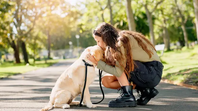 Level 3 Advanced Diploma in Dog Training