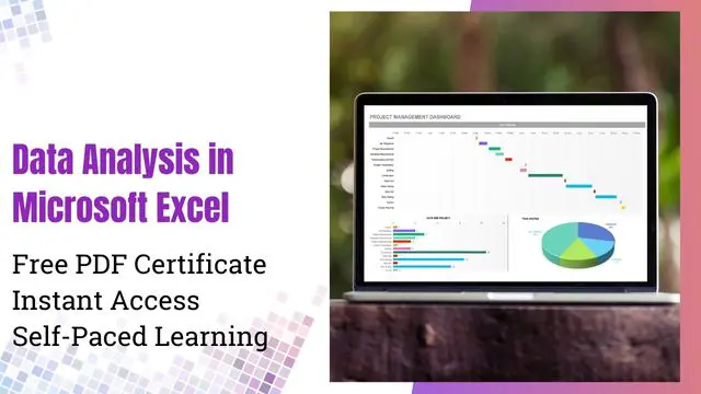 Excel Data Analysis: Transforming Raw Data into Insights