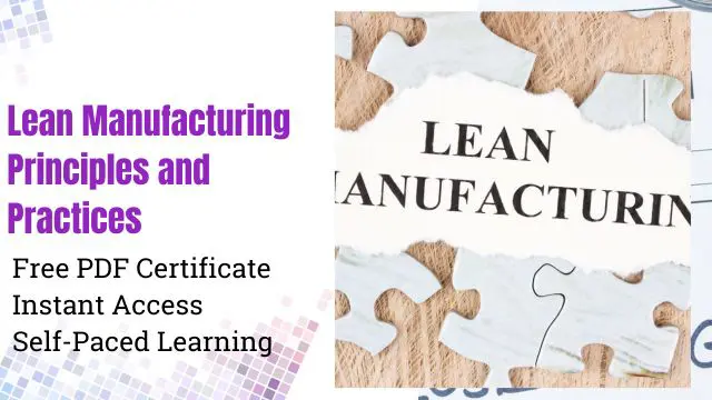 Online Lean Manufacturing Fundamentals for Operational Excellence Course Reed