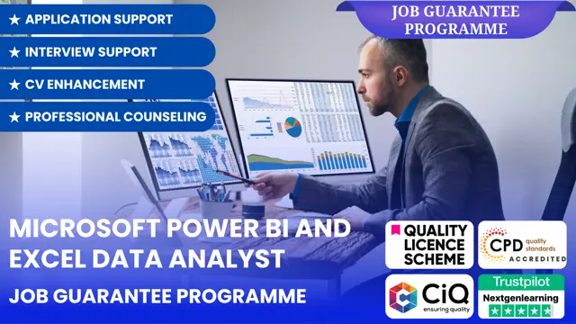 Microsoft Power BI and Excel Data Analyst - Job Guarantee Programme