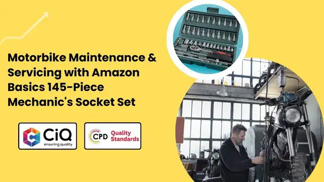 Motorbike Maintenance & Servicing with Amazon Basics 145-Piece Mechanic's Socket Set