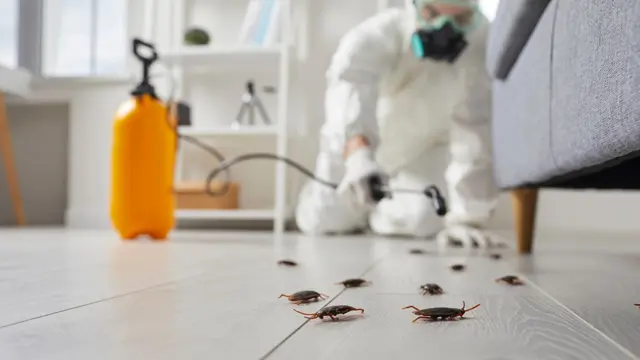 Pest Control Training