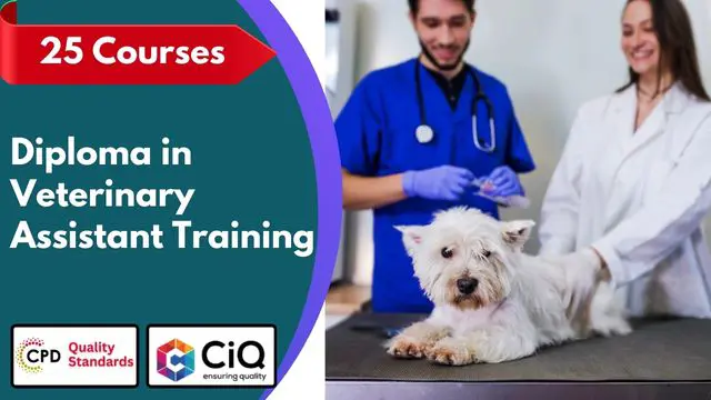 Diploma in Veterinary Assistant Training - CPD Accredited