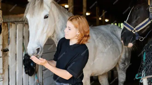 Horse Care Level 5 Advanced Diploma