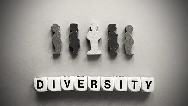 Equality, Diversity, and Human Rights