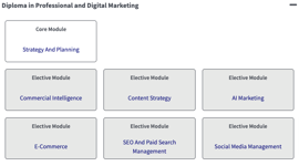 CIM Diploma in Professional Digital Marketing Syllabus & Brochure