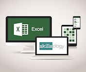 Excel/Skillsology Screen