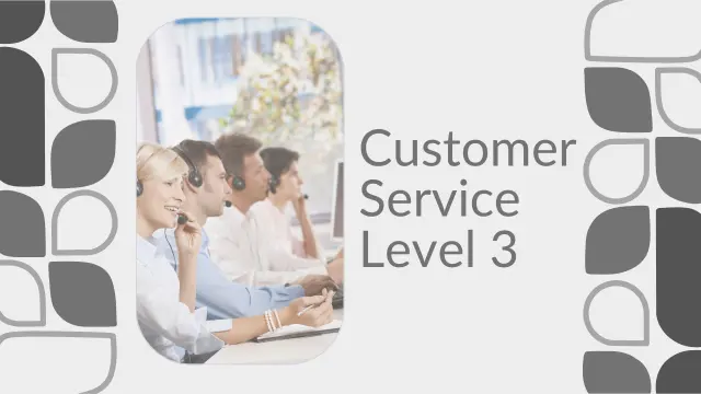 Customer Service Level 3