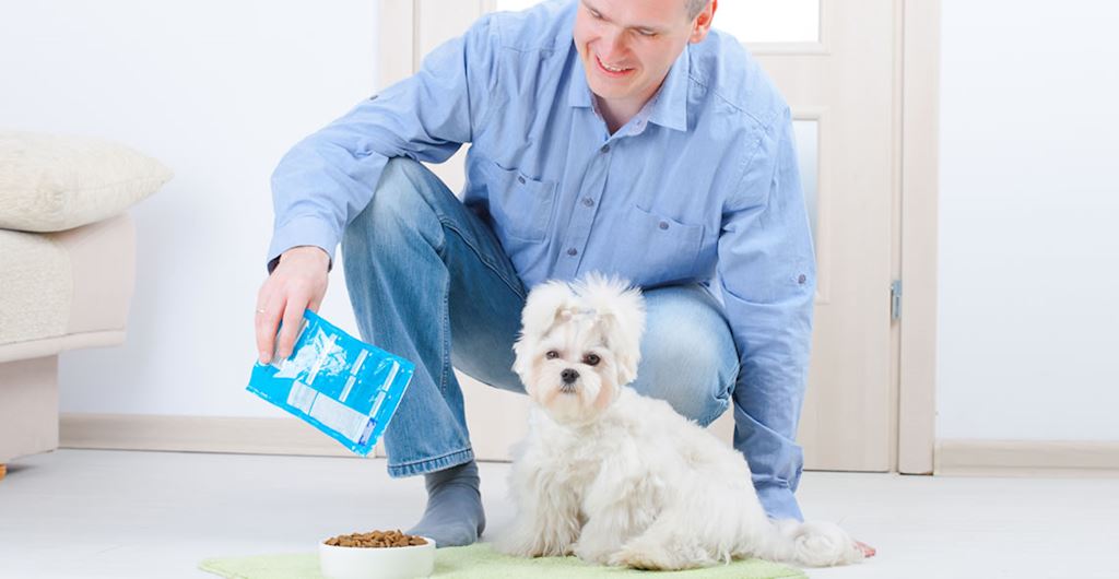 Online Pet Nutrition Diploma (Animal Care) – CPD Certified – Only £29!  Course | reed.co.uk