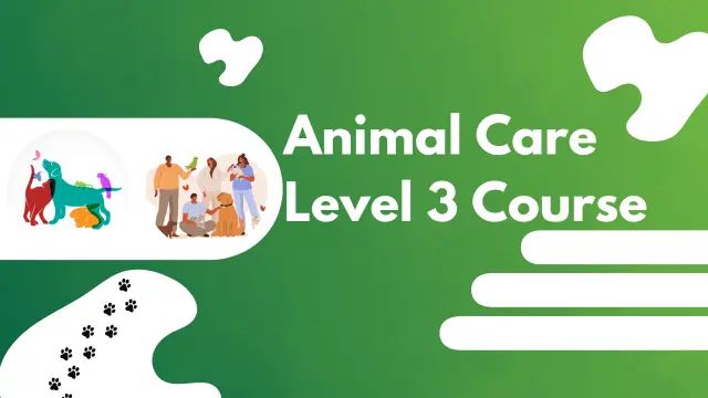 Animal Care Level 3 Course