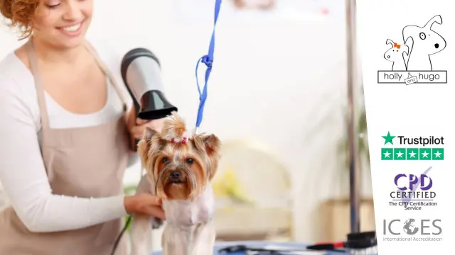 Accredited Dog  Grooming Course