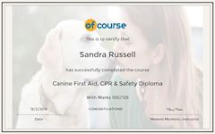 Canine first aid cert