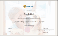 Animal healing and communication cert