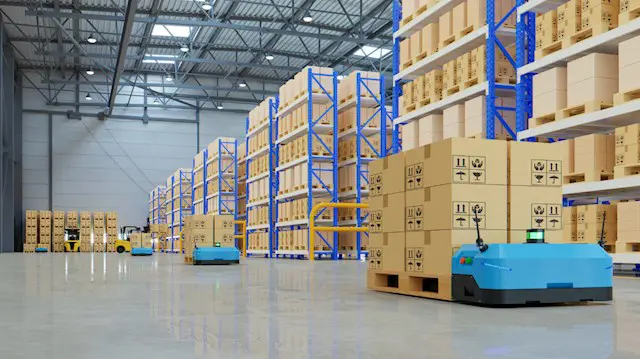 SAP WM (Warehouse Management)
