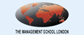 The Manangement School logo