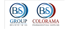 B&S Group Logo