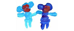 Jobs from Asquith Nurseries Jobs from Asquith Nurseries
