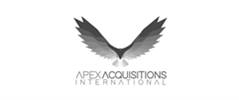 Apex Acquisitions Logo