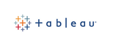 Tableau Software Logo
