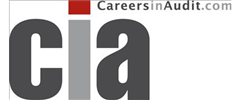 CareersinAudit.com Logo