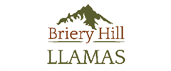 Briery Hill Llamas  Logo