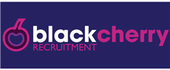 Black Cherry Recruitment Ltd jobs