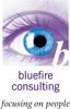 Jobs from Bluefire Consulting Jobs from Bluefire Consulting