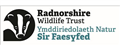 The Radnorshire Wildlife Trust jobs