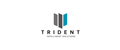 Trident Intelligent Solutions jobs