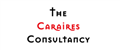 The Caraires Consultancy jobs