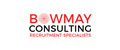 Bowmay Consulting Ltd jobs