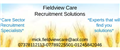 Fieldview Care Recruitment Solutions jobs