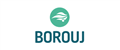 Borouj Consultancy Services jobs
