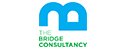 The Bridge Consultancy jobs