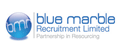Blue Marble Recruitment jobs